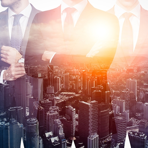 Vision-Immigration-Company-Limited