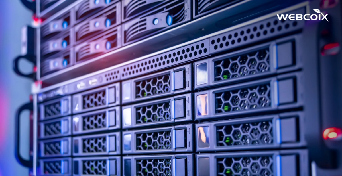 Must-Have Hosting Capabilities for Business Websites